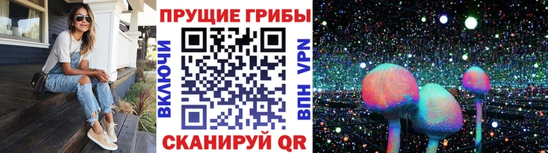 Псилоцибиновые грибы мицелий  Собинка 